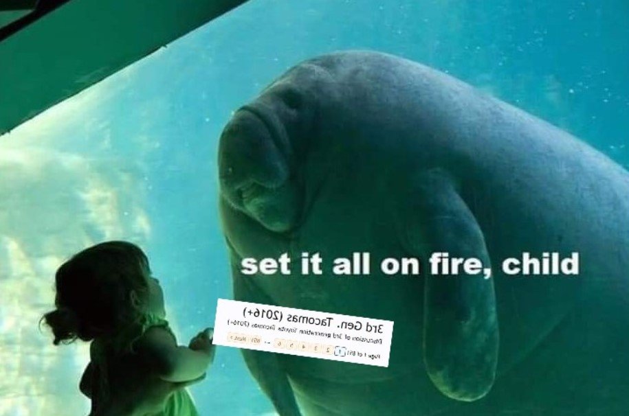3rd Gen fire meme.jpg