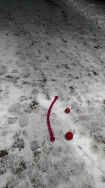 3toys.jpg