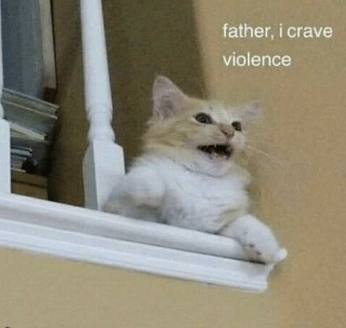 3zixqd.jpg