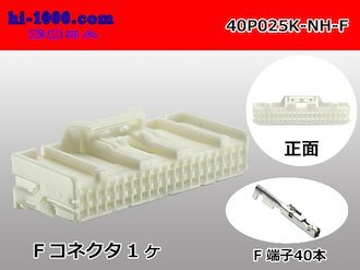 40 pin connector & terminals.jpg