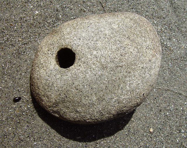 4039516091_9781ce9078_z.jpg