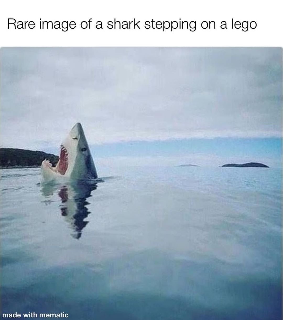 408834065_729287829225531_42149607690070_44af2863e4828c68269e72d0813cdbdaad793435.jpg