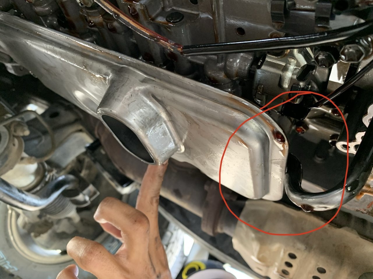 40CF9DAB-D9D3-4A3F-9193-8E5CB263BEC9.jpg