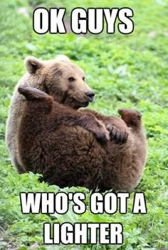 40d9c631b9011098571c6be7d65d4606--animal-memes-animal-humor.jpg