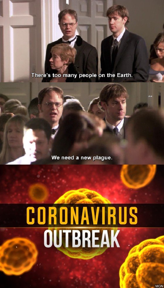 40e1c6gzbzc41.jpg