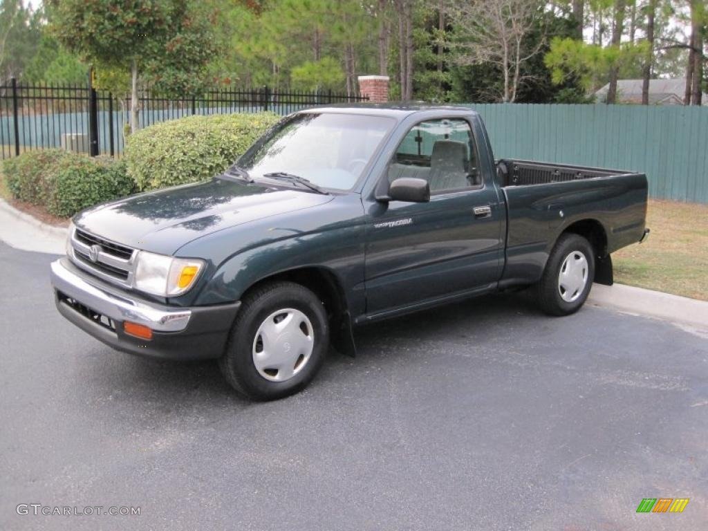 41055636.jpg