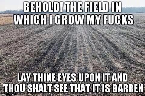 411dcca72686fc99fff4f2d57d0b1a3e.jpg