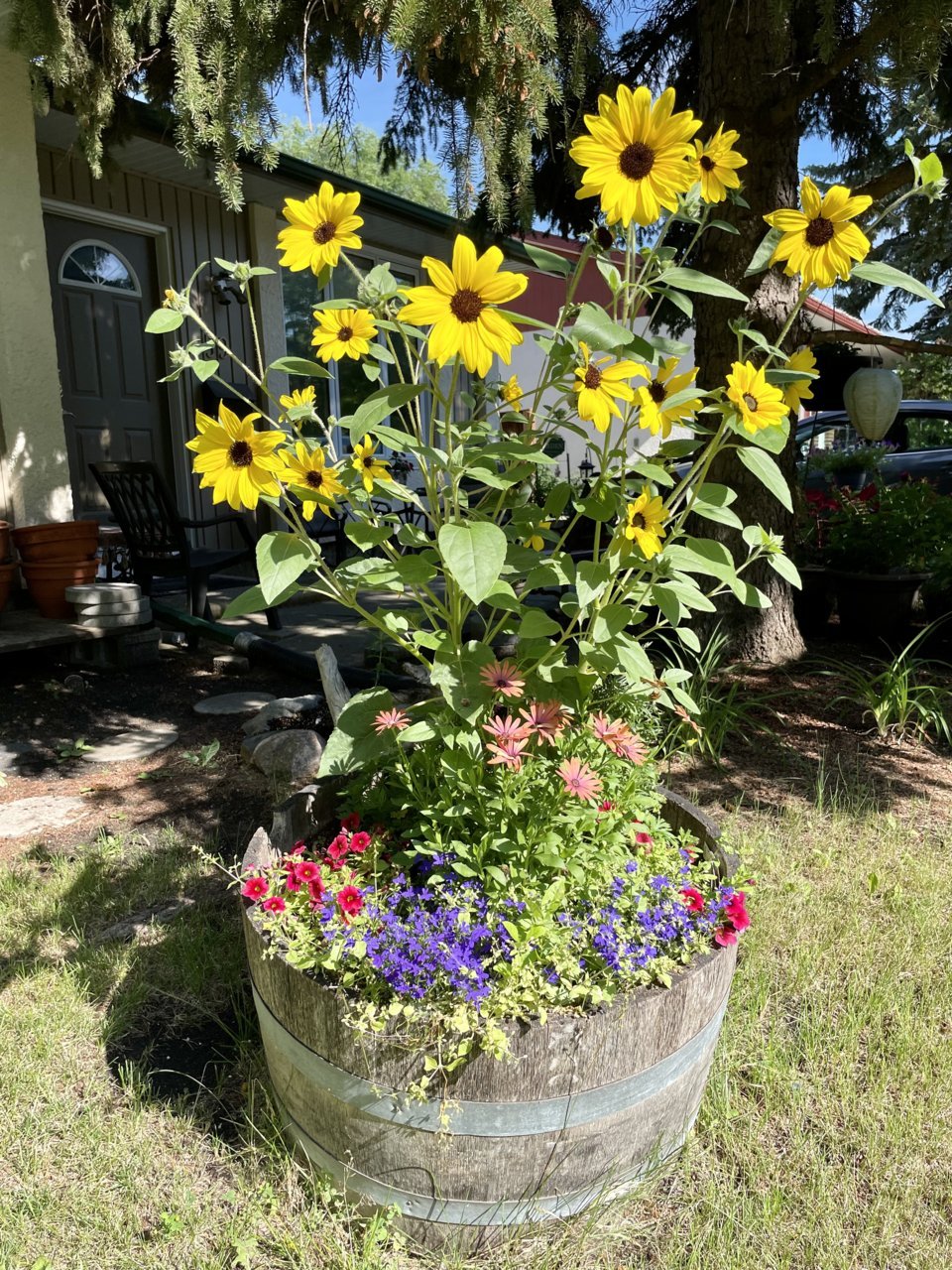 412B0AAF-6CE8-41E7-AB09-BD9525937F7A.jpg