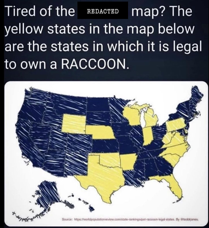 414895625_122105350814163200_187766334320842653_n.jpg