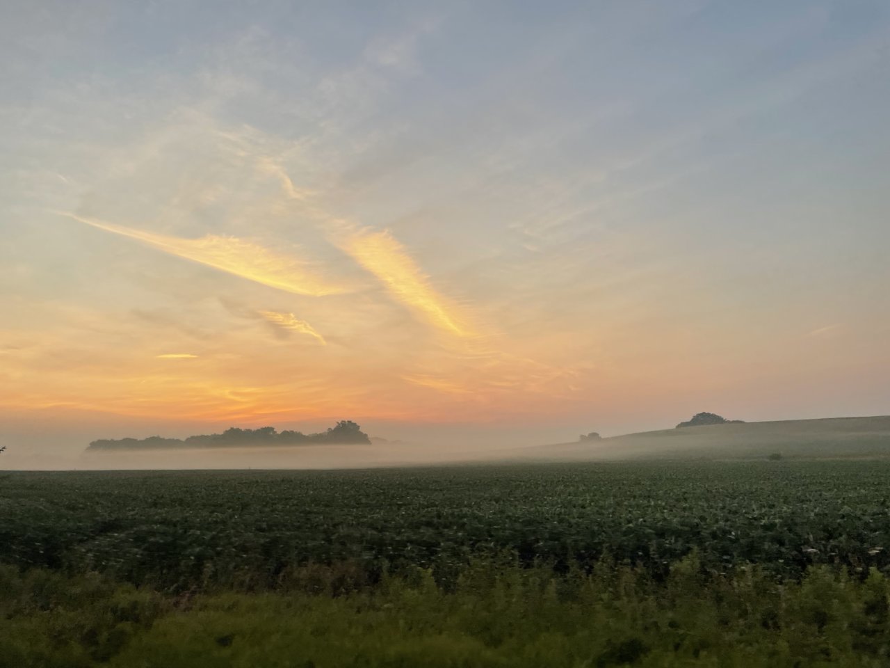 415DDC73-8E07-4CA9-BA83-1EB93C40B7B0.jpg