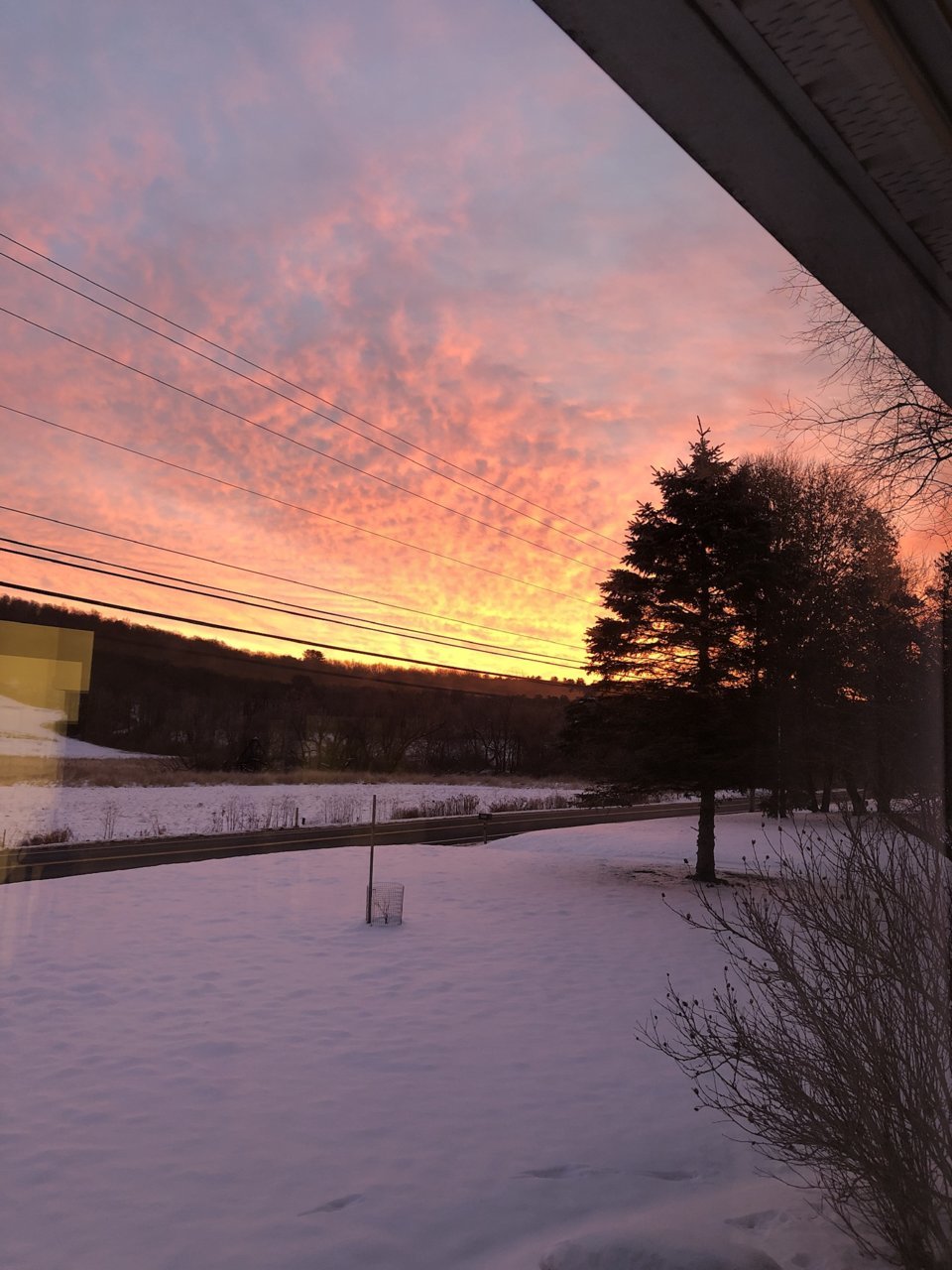 41C20AE0-9317-4923-A835-FA8DDB5C8B06.jpg