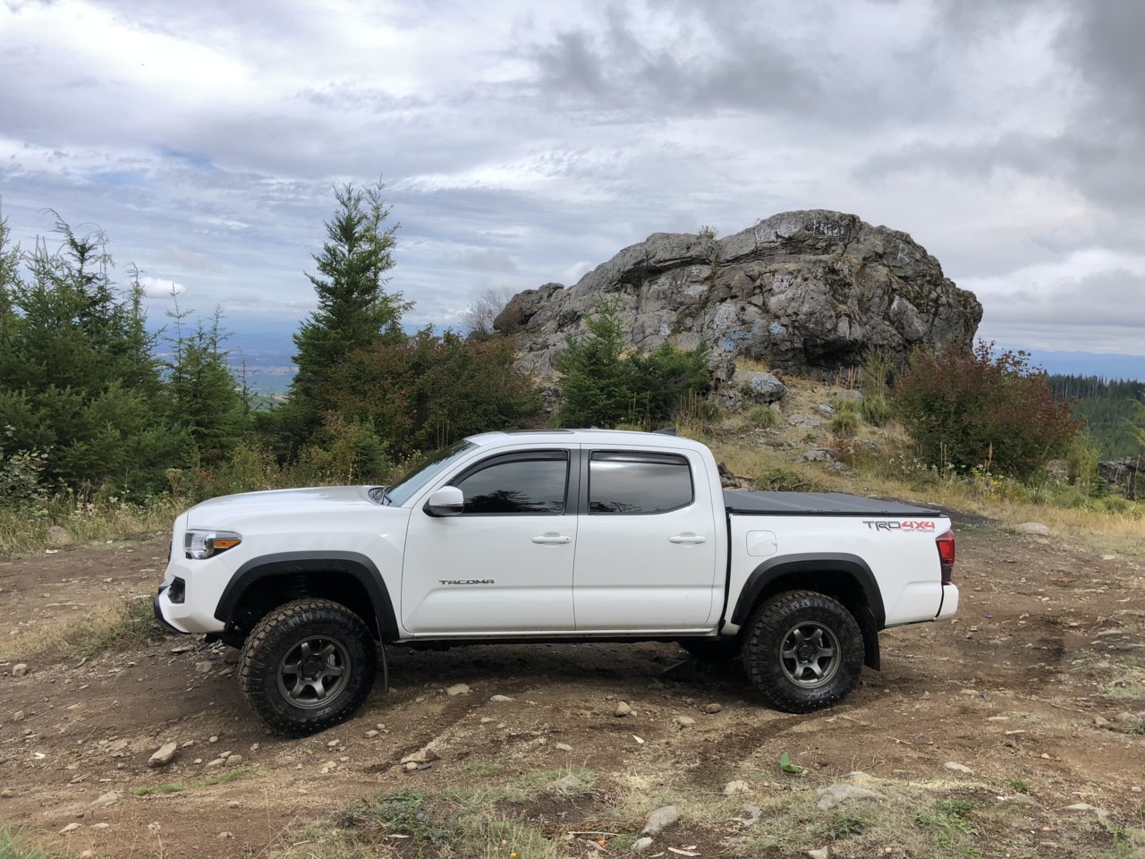 Eibach pro lift kit | Tacoma World