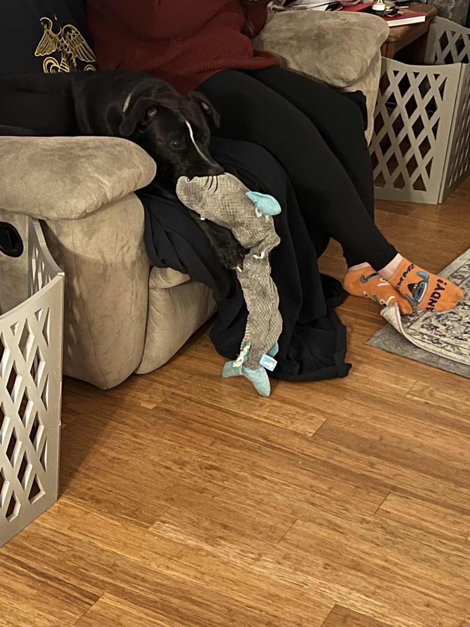 41F50FBA-77FB-4DA9-B095-069F504A3F54.jpg