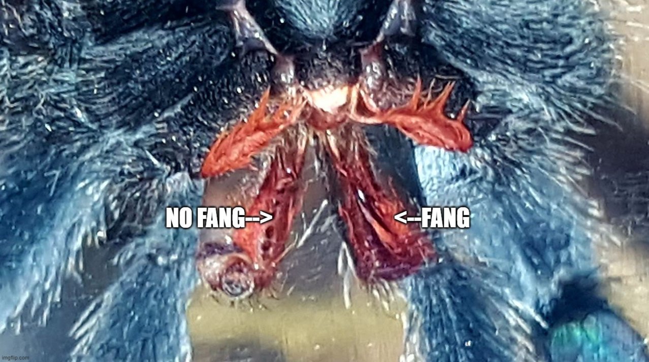 41q6sp.jpg