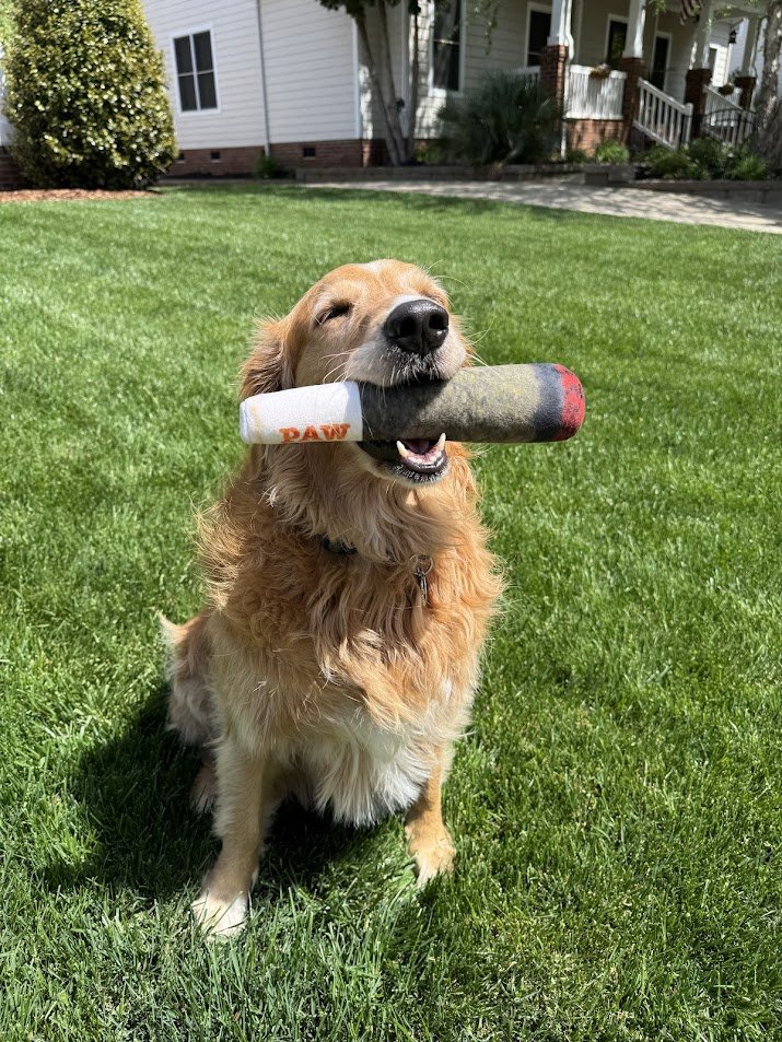 420.jpg