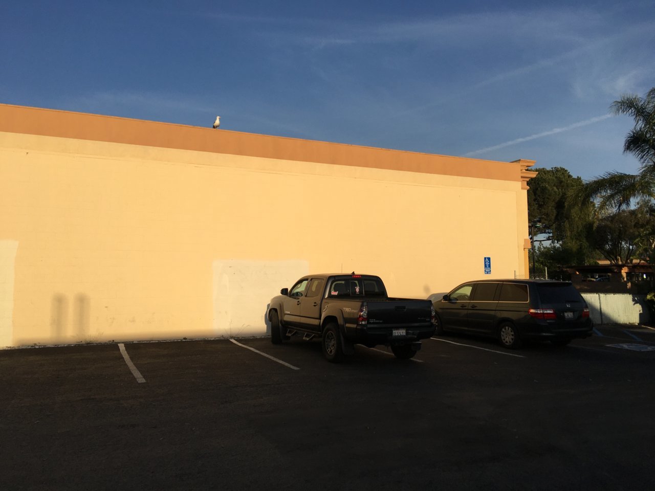 4230FC82-9E52-4DD5-B683-0FF13B1CBD3A.jpg