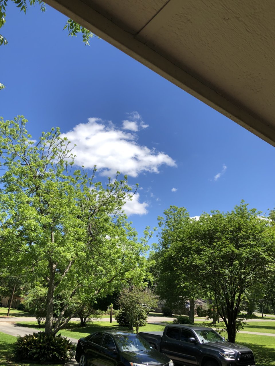 425885E3-43D6-44DF-8697-B14715C46A87.jpg