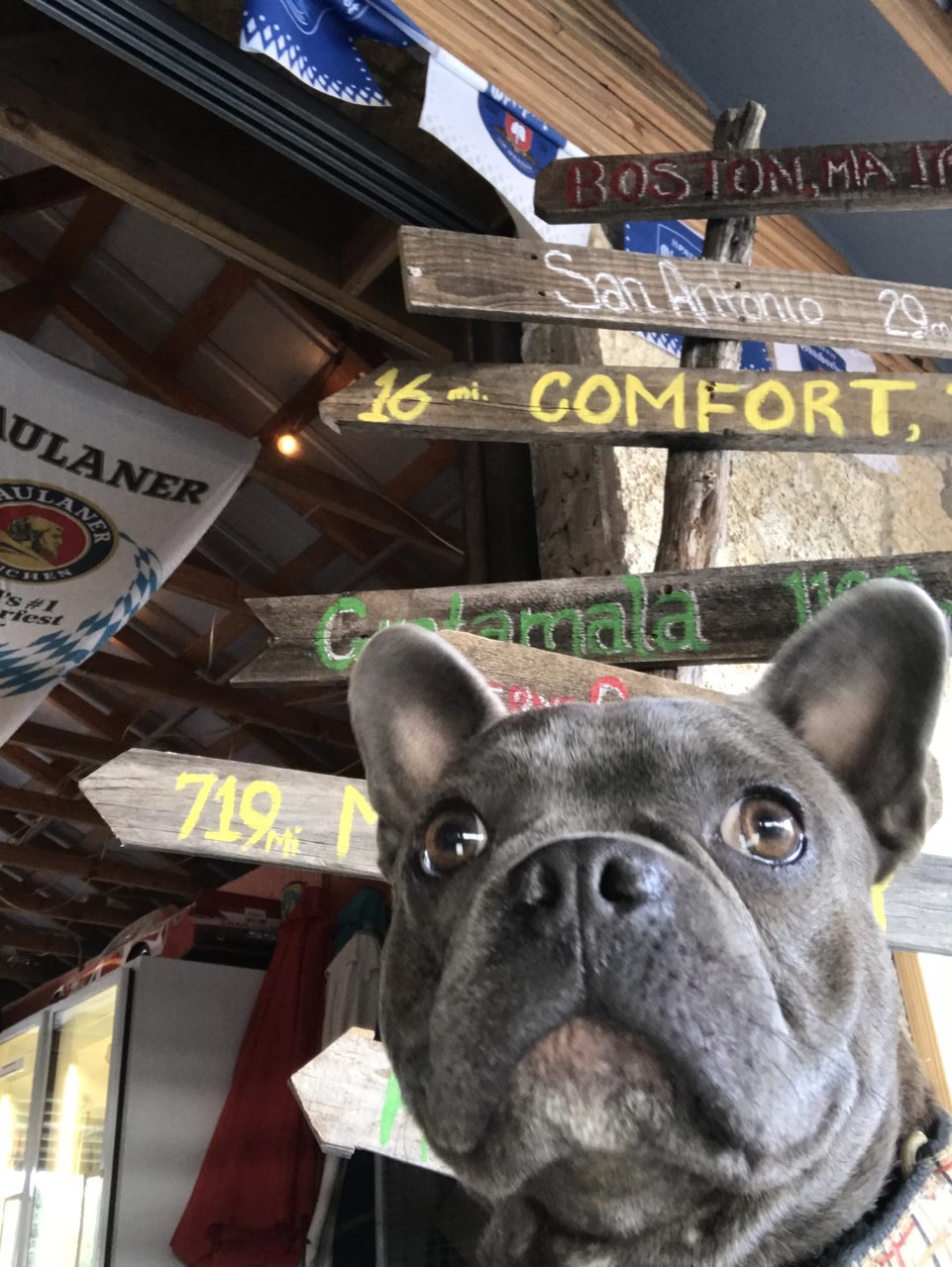 427365CB-D381-43D1-8AAC-365C7E8CAC7C.jpg