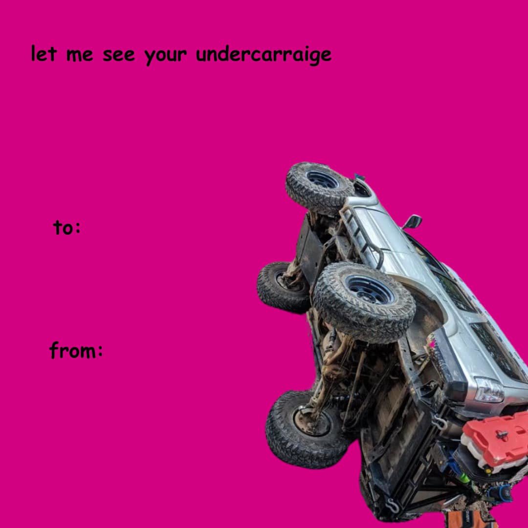 428140327_1056060995675066_3906204040915228212_n.jpg