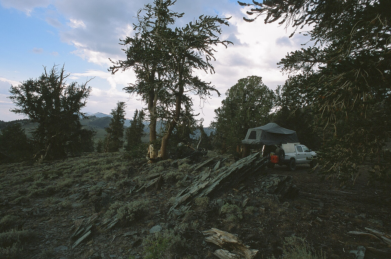 4289_04A.jpg