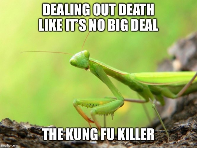 429yw6.jpg