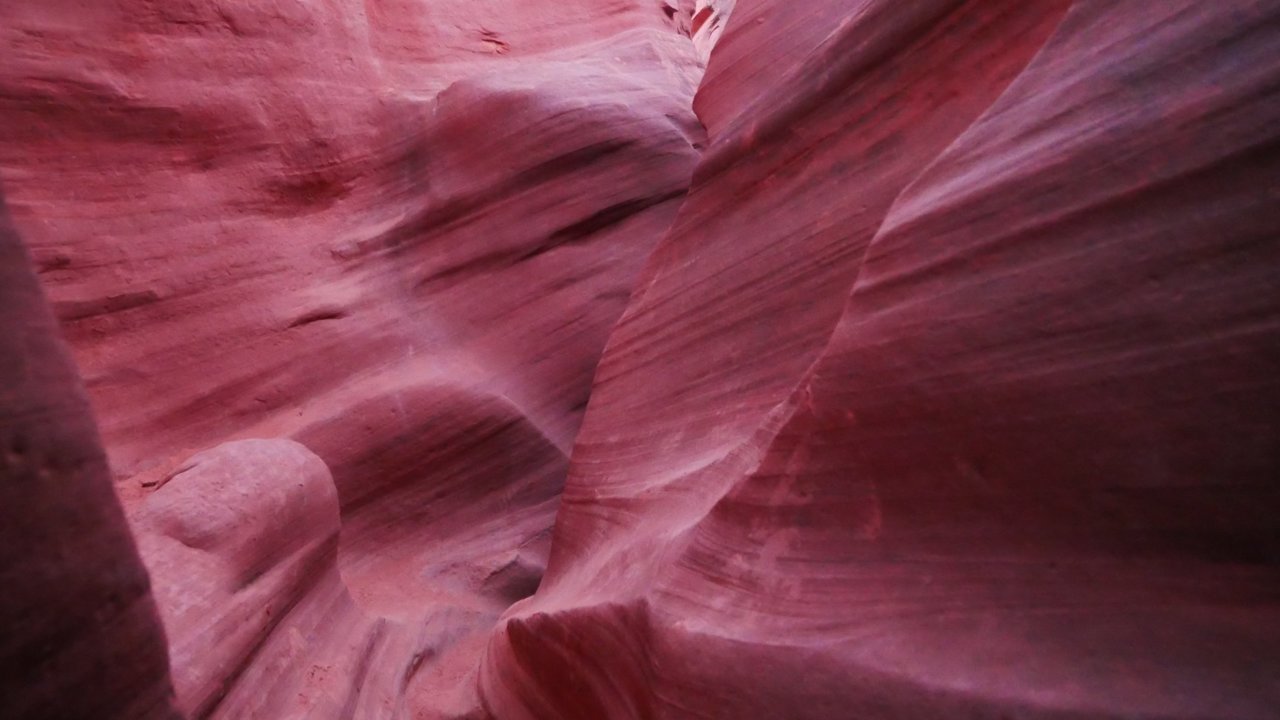 43036599_10156698639049233_868991507409928192_o.jpg