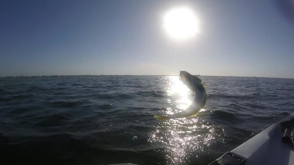 43248297_10217499600107079_5655800719932_0d31f66cfaf9ec3eac43a702b89eebfddc1858ed.jpg