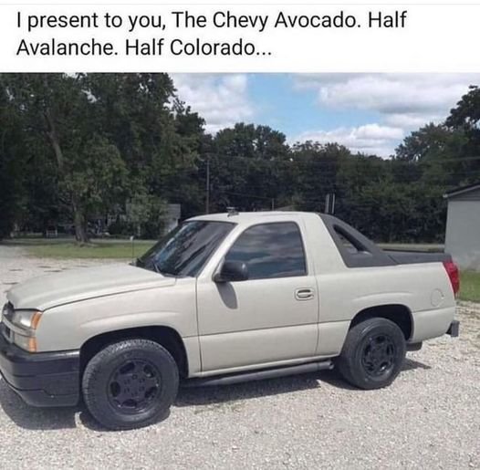 439343363_385677021124492_4006032242346410549_n.jpg