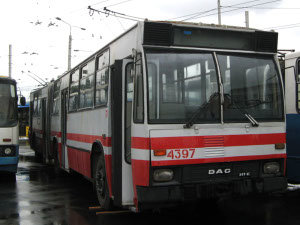 4397_s.jpg