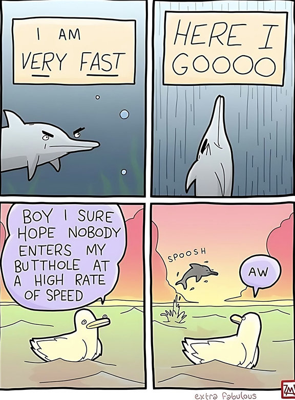 441083937_956559403139753_8363574776058000028_n.jpg