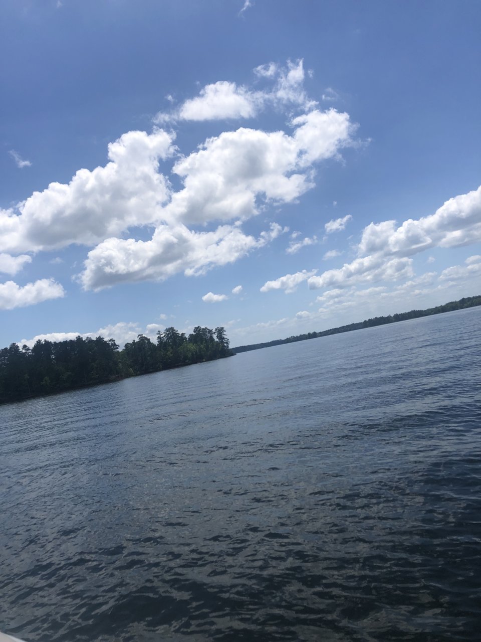 44309373-A14E-4D0C-8E15-22E824CD4142.jpg