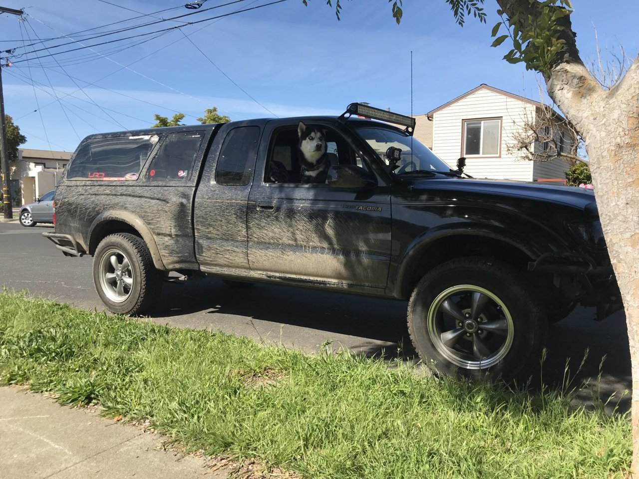4435DA3D-F867-4367-9C7F-62DD48FEF690.jpg