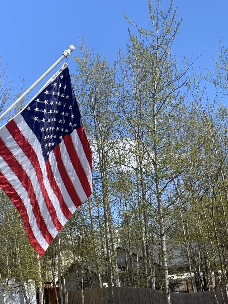 4460298A-535C-4F20-8081-80E0578FE733.jpg