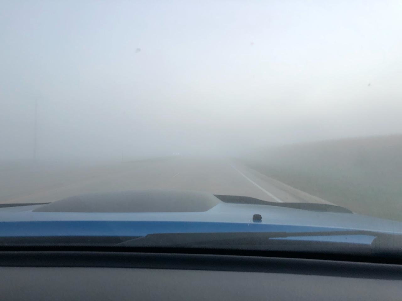44709.jpg