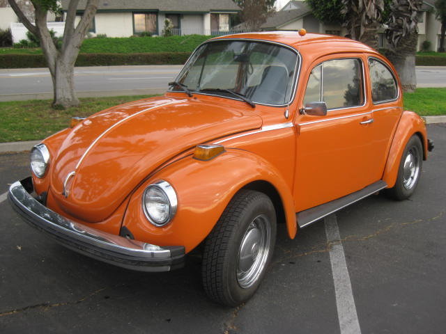 454 997.jpg