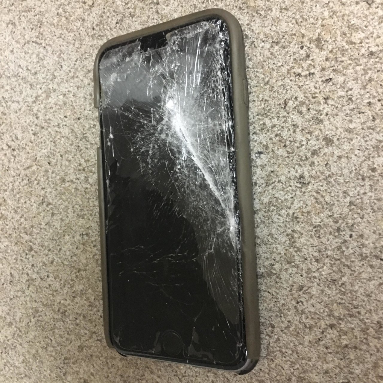 45630796_506382716506506_5488894983685537792_n.jpg