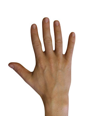 45a5f8b31e3eb0d8922234ad695785d5.jpg