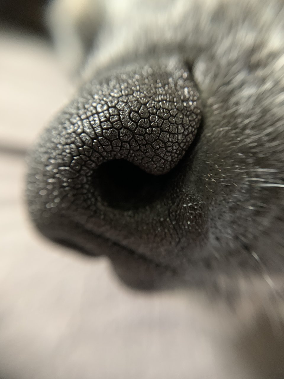 45ABDE01-F2C5-4930-A10B-2632C531C7C2.jpg