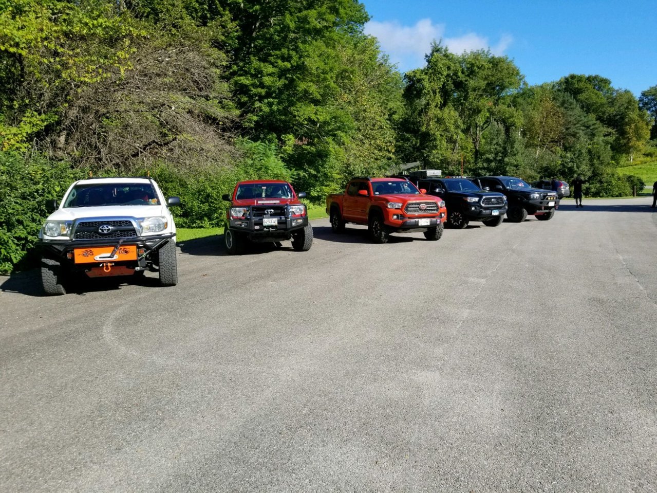 4600.jpg
