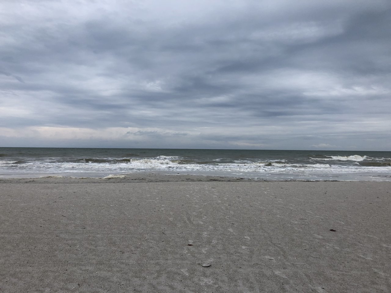 46006D62-33ED-418D-BF1D-7088C0637672.jpg