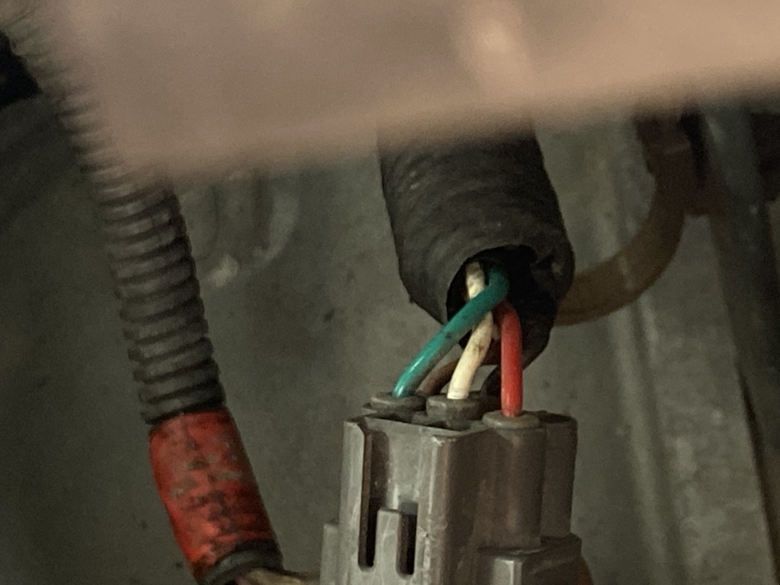 46287E60-B0F4-46DF-AF24-D1BD05B08244.jpg