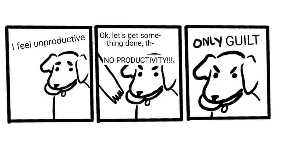 463438388_561382956462904_4748436702133675713_n.jpg
