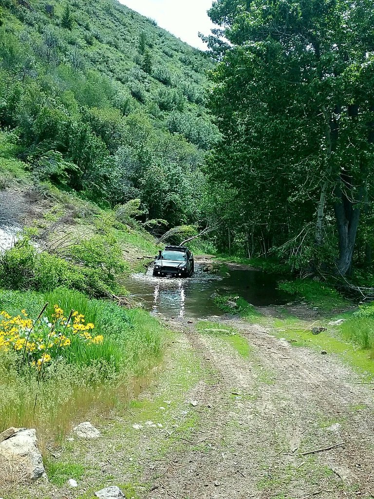 4665.jpg