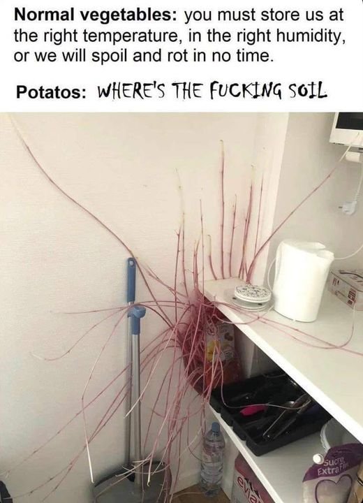 467989273_544197205192455_260194682907143296_n.jpg