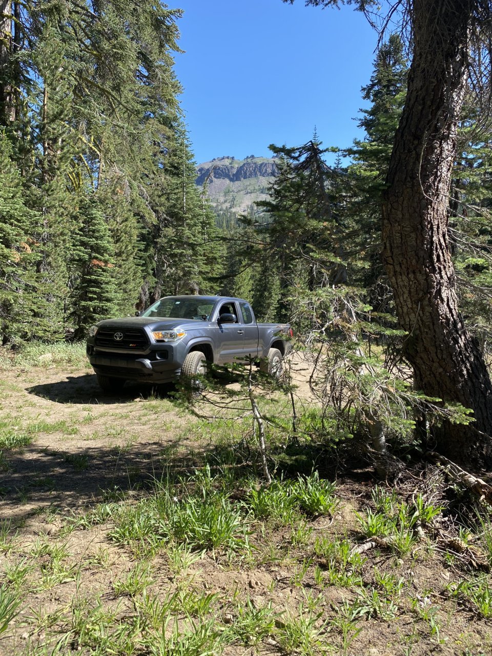 470692B0-B0E2-4430-8589-451AB231ECF3.jpg