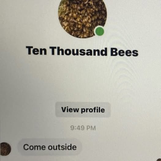 476827484_122212297952188847_86156780274_0761857294640a13ea3e54e65e5e7bb889d43932.jpg