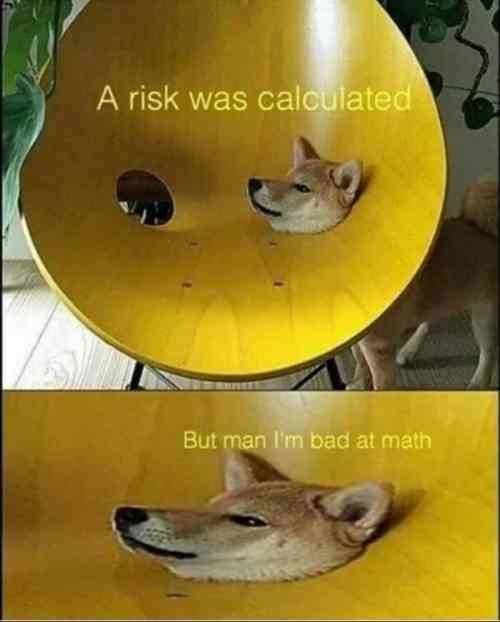 47934-a-risk-was-calculated-but-man-im-bad-at-math.jpg