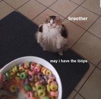 483.jpg
