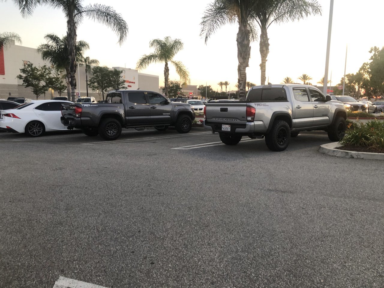 4830C245-FFA9-42DB-8317-10E15CE37FDE.jpg