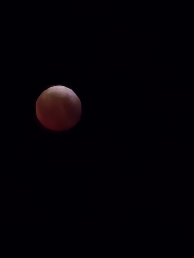 483963733_10232797336667922_3405697995902099689_n.jpg